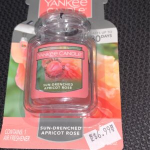 SUN-DRENCHED APRICOT ROSE